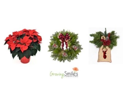 Holiday Plant Sale Dec&nbsp;2024